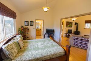 een woonkamer met een bed en een televisie bij Kuuipo Cottage in Mountain View