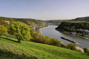 カンプ・ボルンホーフェンにあるHotel im Rheintalの水上の船を持つ川