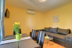 Televiisor ja/või meelelahutuskeskus majutusasutuses Apartments Puntica