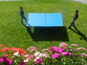 Stolní tenis v ubytování Ferienwohnungen Passrugger nebo okolí