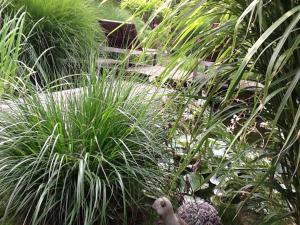 a bird standing in a garden with tall grass at Gipsy Caravan in Ittre