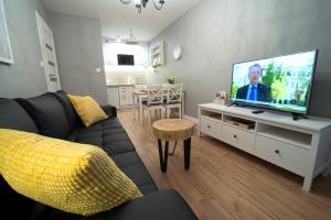 シュクラルスカ・ポレンバにあるApartament Lokumのリビングルーム(ソファ、薄型テレビ付)