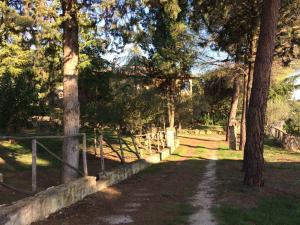 un chemin dans un champ avec des arbres et une clôture dans l'établissement Case Vacanza Podere Risoino, à Poggibonsi