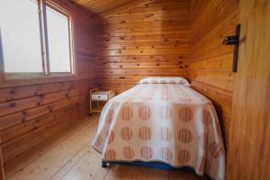 1 dormitorio con 1 cama en una habitación de madera en Camping & Bungalows Ligüerre de Cinca, en Ligüerre de Cinca