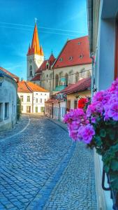 Foto de la galería de Rezidence Zvon en Znojmo