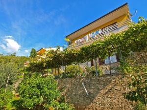 una casa en una colina con un montón de vides en Apartments Boris 154, en Rabac