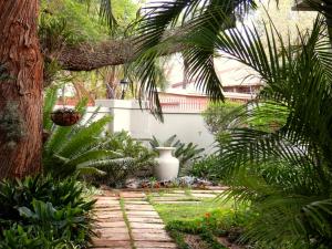 a garden with palm trees and a stone walkway at The Platinum Guesthouse in Mokopane