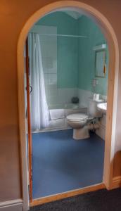a bathroom with a shower and a toilet and a sink at The Fountain Inn in Parkend