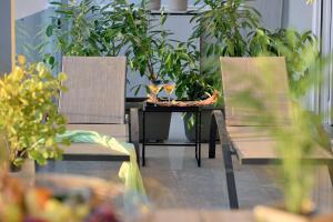 A garden outside ALTIUS LODGE by K&K