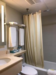 a bathroom with a shower curtain and a toilet at Floral Park Motor Lodge in Floral Park