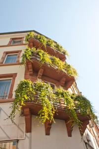 un bâtiment avec des plantes sur son côté dans l'établissement Hôtel le Grillon, à Strasbourg
