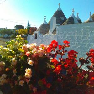 um arbusto de flores em frente a um edifício em Casa tra i Trulli em Martina Franca