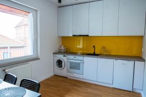 Kuchyňa alebo kuchynka v ubytovaní Apartamenty Koci Ogon