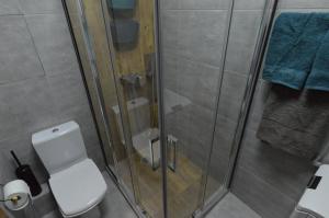 a bathroom with a toilet and a glass shower at Air Loft Apartment in Kyiv