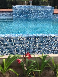a swimming pool with a red flower in front of it at Los Aromos de Valeria in Valeria del Mar