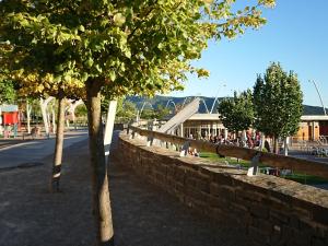 un muro de retención con árboles y un grupo de personas en Pirineo Aragonés, en Latas