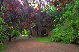 Um jardim em Casa Glebinias
