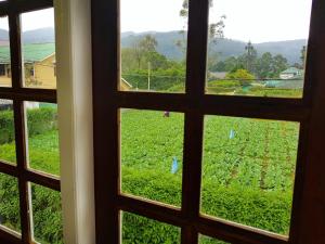 Vườn quanh Nuwara Eliya Hills Rest