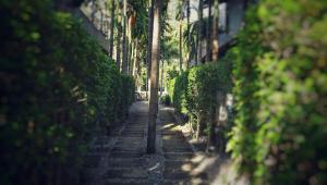 Giardino di The Curve Residence
