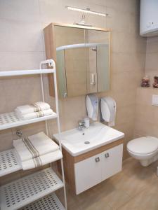 ein Badezimmer mit einem Waschbecken, einem WC und einem Spiegel in der Unterkunft Apartment Nirvana in Zagreb