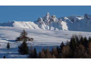 Gallery image of Seiser Alm Urthaler in Alpe di Siusi