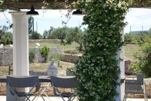 Zahrada ubytování Masseria Serralta
