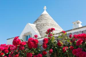 Fotografie z fotogalerie ubytování Masseria Serralta v destinaci Locorotondo