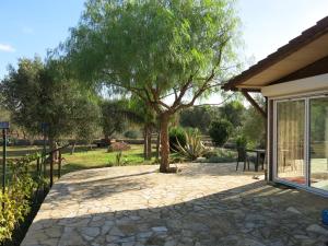 um pátio com uma árvore num quintal em casa olivi em Nardò