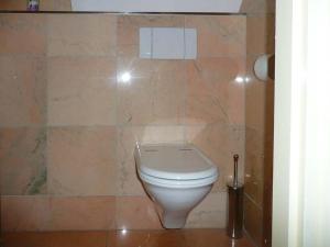 een badkamer met een toilet en een betegelde muur bij De Zilveren Karper in Kampen