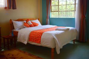 ein Schlafzimmer mit einem Bett mit orangefarbenen Kissen und einem Fenster in der Unterkunft Sheywe Hotel Kakamega in Kakamega