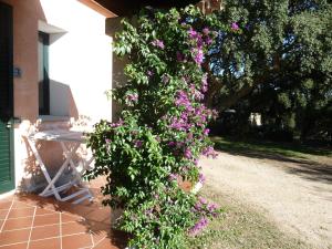 Zahrada ubytování Agriturismo Vaddidulimu