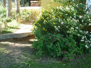 Zahrada ubytování Agriturismo Vaddidulimu