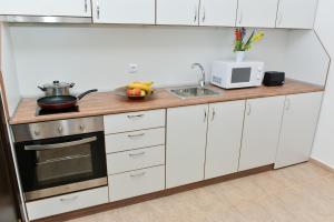 A kitchen or kitchenette at OLYMP Apart-Complex