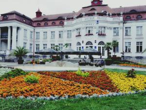 Zdjęcie z galerii obiektu Apartment Alice Center w Karlowych Warach