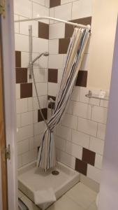 a shower with a shower curtain in a bathroom at hotel le chatiague in Tence +15 photos