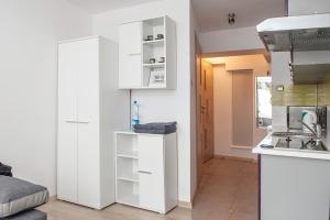 Kuchyň nebo kuchyňský kout v ubytování Apartament SYNERGIA