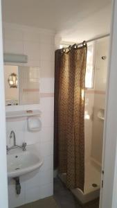 y baño con cortina de ducha y lavamanos. en Palataki Studios, en Loutrópolis Thermís