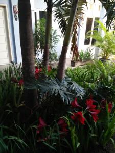 un jardin avec des palmiers et des fleurs rouges dans l'établissement Clover Homestay, à Probolinggo
