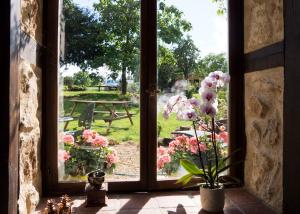 Montbronにあるchez daisyの庭園を望む開口窓