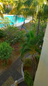 La alberca dentro o cerca de Villa in Le Tamier, 4 bedrooms, 300m Flic en Flac beach