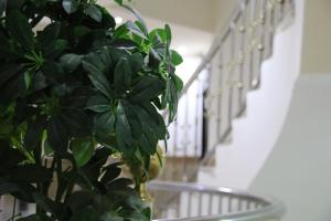Galería fotográfica de Dorar Darea Serviced Apartments - Al Malqa en Riad