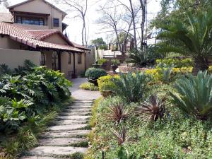 a garden with plants and a walkway in front of a house at SereNight Guesthouse in Pretoria