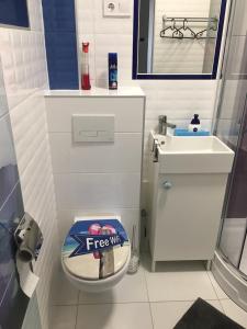 a bathroom with a freeplay toilet and a sink at Diana’s Charming Studio at the Buda Castle in Budapest