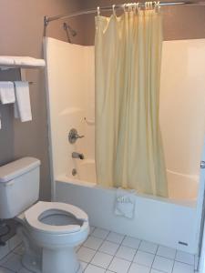 a bathroom with a toilet and a shower at Deerfield Inn New Johnsonville in New Johnsonville
