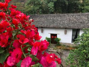a bush with red flowers in front of a house at Zen Box House in Yangshuo