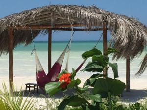 a hammock on the beach next to the ocean at Palapas del Sol in Holbox Island