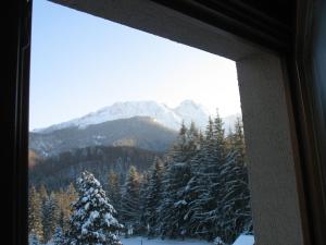 Widok na góry z tej kwatery prywatnej