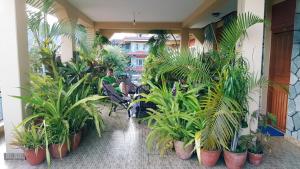 Vườn quanh Nanohana Lodge