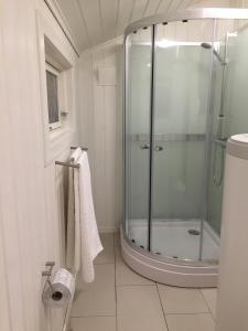 a bathroom with a shower with a glass door at Koselig Hytte i Hemsedal with outdoor Sauna in Hemsedal +34 photos