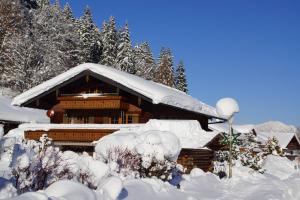 een met sneeuw bedekte blokhut met een met sneeuw bedekt dak bij Ferienwohnung "Hüs 18" in Fischen +8 foto's